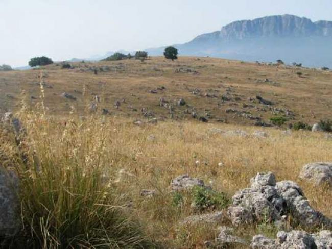 Paesaggio estivo siciliano: zeroscape, il paesaggio senza irrigazione o cura dell&#039;uomo