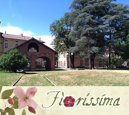 Fiorissima