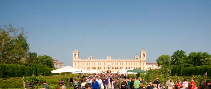 Colorno: Nel segno del Giglio 2015