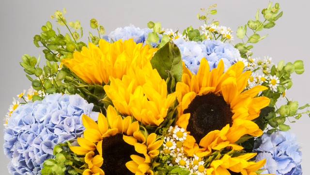 bouquet_sposa_girasoli_ortensie