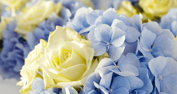 fiori_e_addobbi_floreali_matrimonio_milano_00037