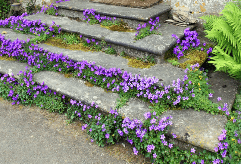 progettazione-creazione-giardini_00001