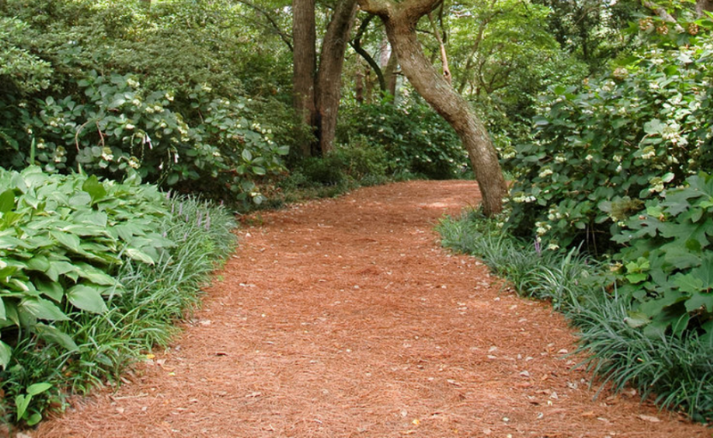 progettazione-creazione-giardini_00003