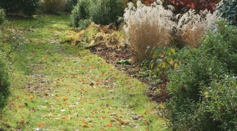 progettazione-creazione-giardini_00005