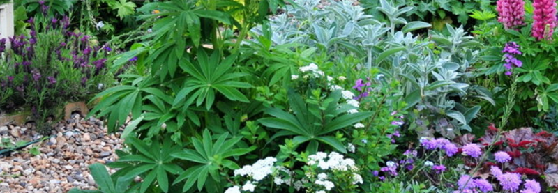 progettazione-creazione-giardini_00010