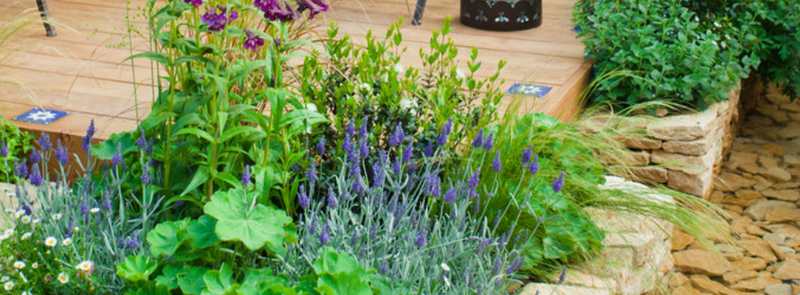 progettazione-creazione-giardini_00011