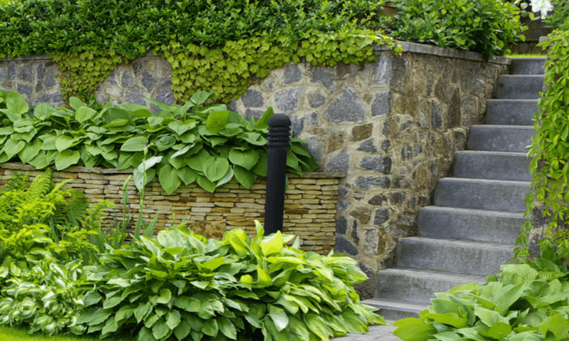 progettazione-creazione-giardini_00013