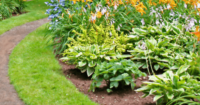 progettazione-creazione-giardini_00015