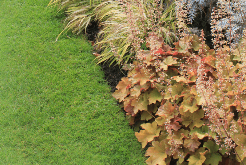 progettazione-creazione-giardini_00016