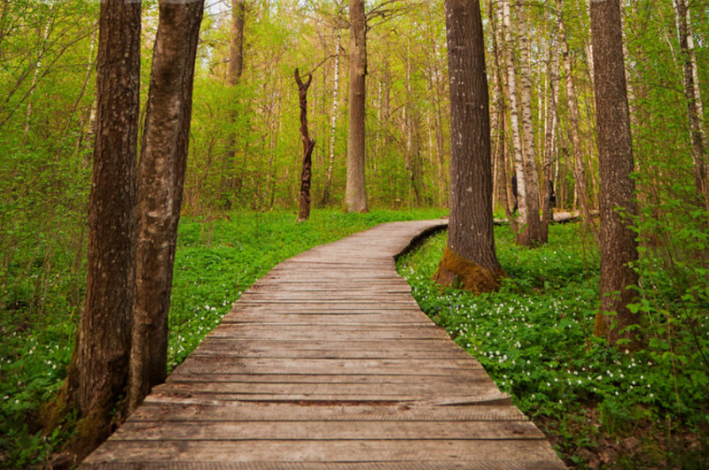 vialetti-camminamenti-sentieri-giardino-idee_00022