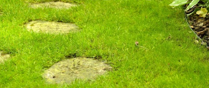 vialetti-camminamenti-sentieri-giardino-idee_00035