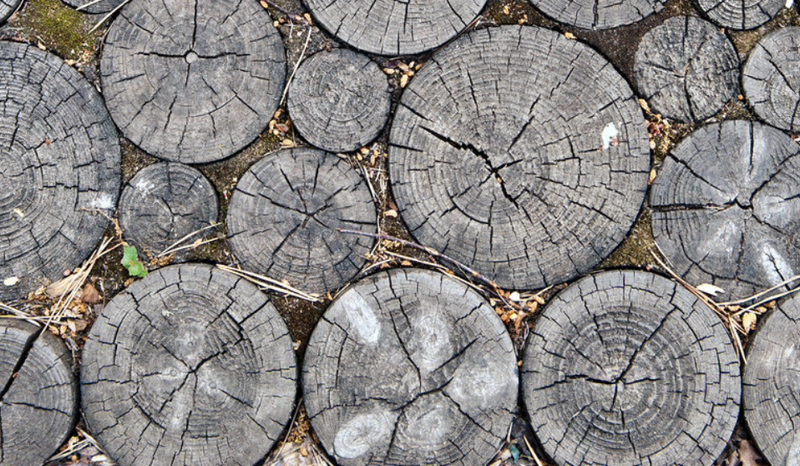 vialetti-camminamenti-sentieri-giardino-idee_00047