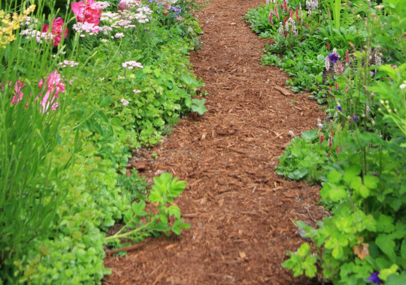 vialetti-camminamenti-sentieri-giardino-idee_00055