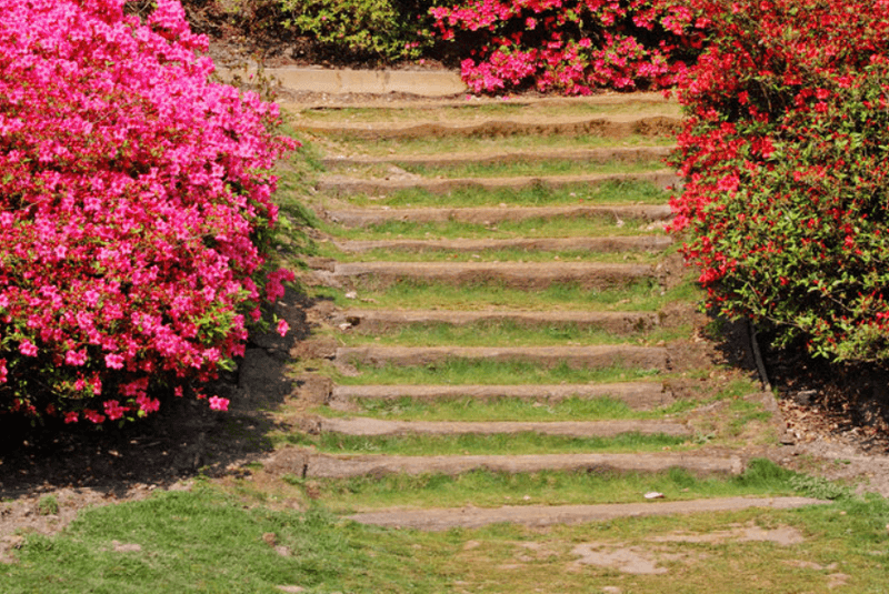 vialetti-camminamenti-sentieri-giardino-idee_00069