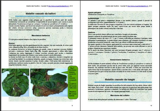 ebook.1