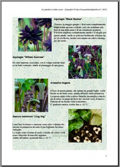 Anteprima Ebook Piante con fiori e foglie scure