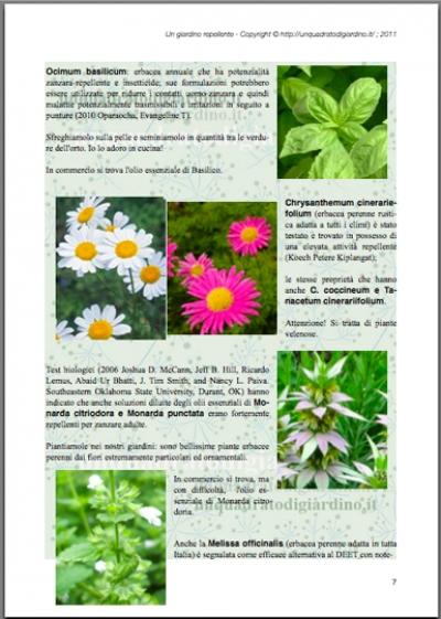 Anteprima Ebook Zanzare