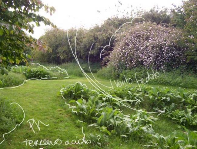 Considerare il clima