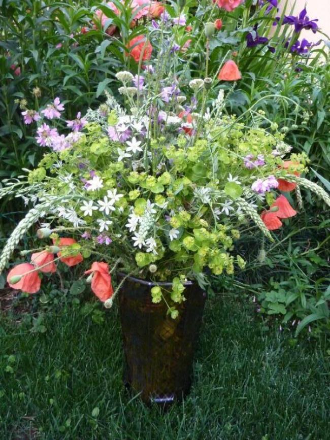 Mazzo di fiori di campo