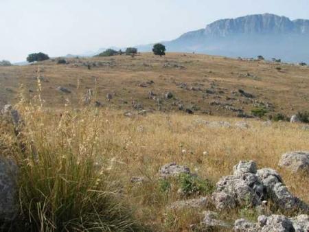 Paesaggio estivo siciliano: zeroscape, il paesaggio senza irrigazione o cura dell'uomo