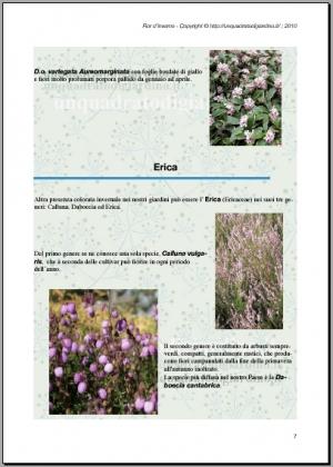 Anteprima Ebook Piante invernali