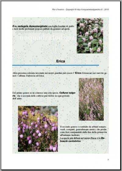 Anteprima Ebook Piante invernali