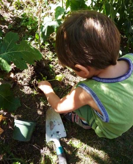 Fiorenzo pianta una Digitalis