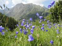 Avatar di nicoletta55