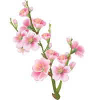 Avatar di alessandra dee